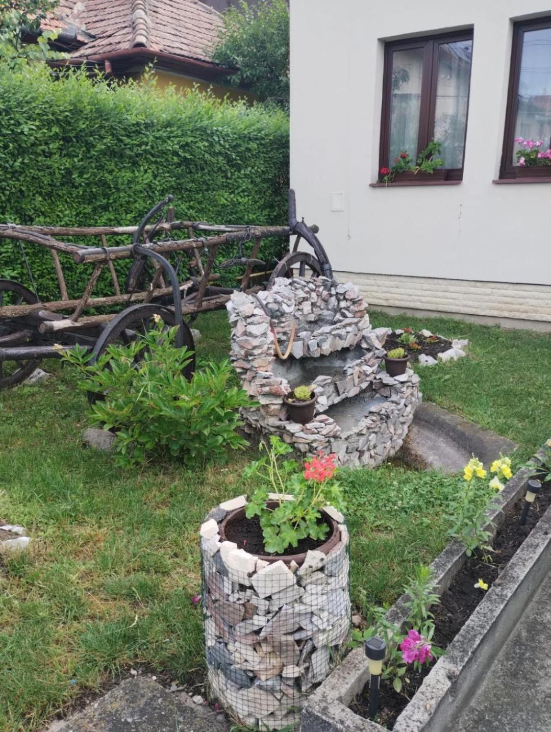 شقة Casa Darius Cluj المظهر الخارجي الصورة